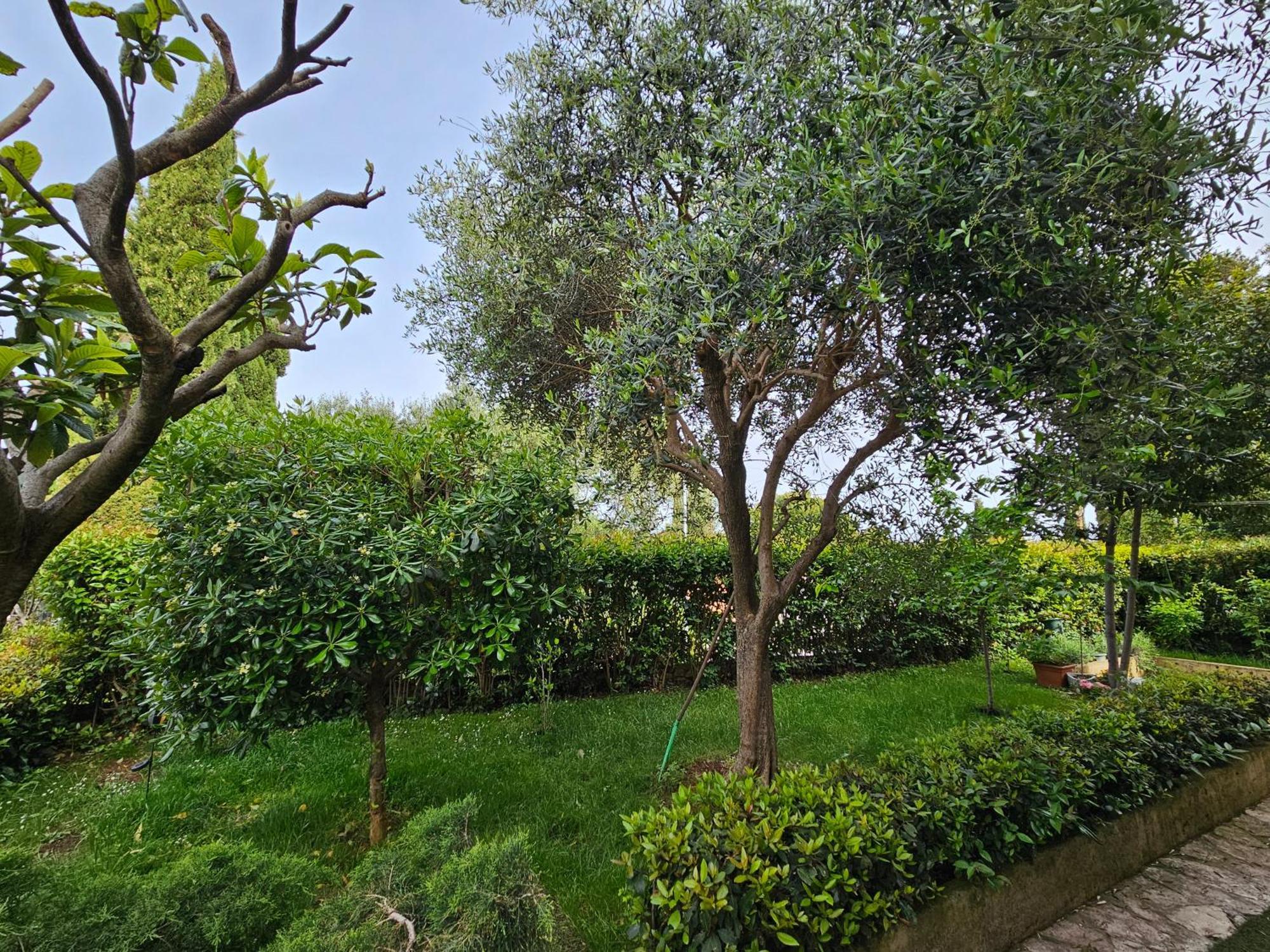 Zita - Heart Of Rovinj, Apartment For 2, Free Parking, 2Min Center, 5Min Beach Walk Exterior photo